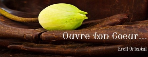 Ce n'est pas l'amour qui fait mal, c'est la passion