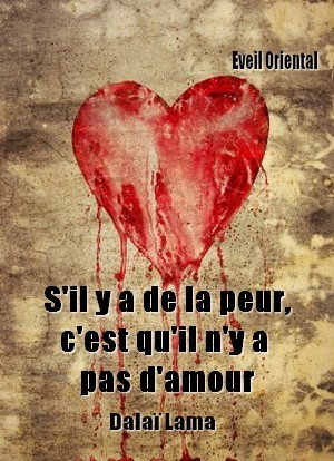 Sil y a de la peur, c'est qu'il n'y a pas d'amour - Dalaï Lama -