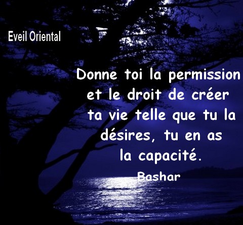 Donne-toi la permission etle droit de créer ta vie telle que tu la désires, tu en as la capacité - 