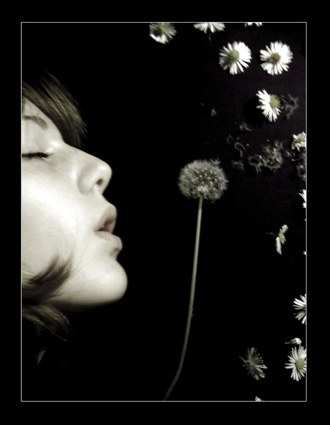 La non-violence n'est pas l'absence de violence...