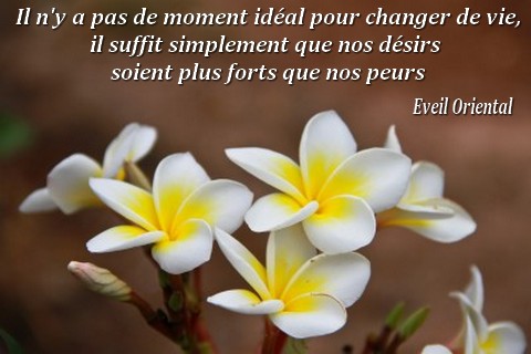 Il n'y a pas de moment idéal pour changer de vie, il suffit simplement que nos désirs soient plus forts que nos peurs - Eveil Oriental -