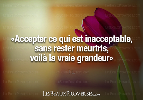 «Accepter ce qui est inacceptable, sans rester meurtris, voilà la vraie grandeur» – T.L.