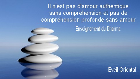 Il n'est pas d'amour authentique sans compréhension et pas de compréhension profonde sans amour.