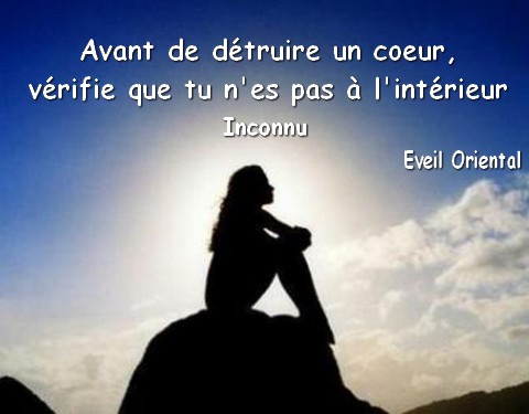 Avant de détruire un coeur, vérifie que tu n'es pas à l'intérieur.