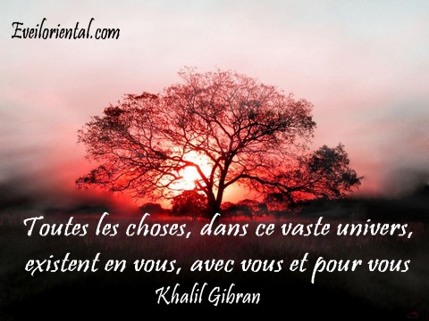 Toutes les choses, dans ce vaste univers, existent en vous, avec vous et pour vous - khalil Gibran -