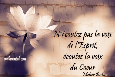 N'écoutez pas la voix de l'Esprit, écoutez la voix du Coeur - Meher Baba
