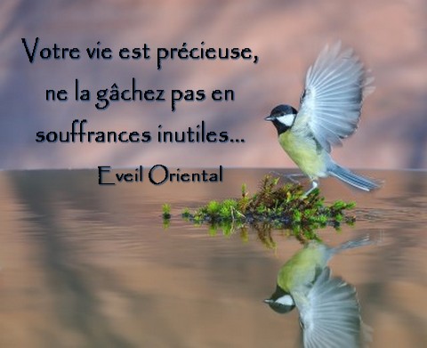 Votre vie est précieuse, ne la gâchez pas en souffrances inutiles - Eveil Oriental