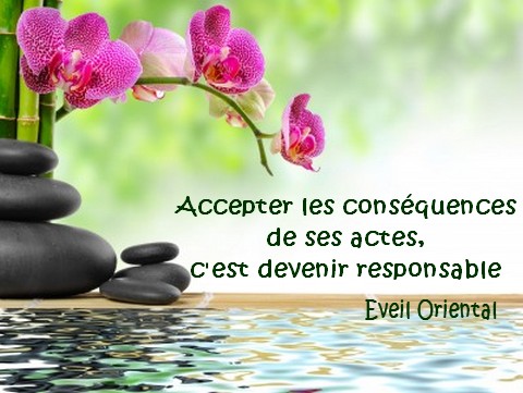 Accepter les conséquences de ses actes, c'est devenir responsable - Eveil Oriental -