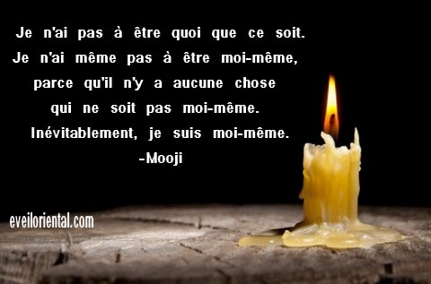 Je n'ai pas à être quoi que ce soit, je n'ai même pas à être moi-même, parce qu'il n'y a aucune chose qui ne soit pas moi-même, inévitablement je suis moi-même ! - Mooji -