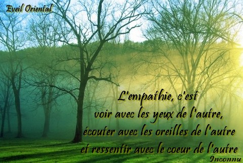 L'empathie, c'est  voir avec les yeux de l'autre, écouter avec les oreilles de l'autre et ressentir avec le coeur de l'autre