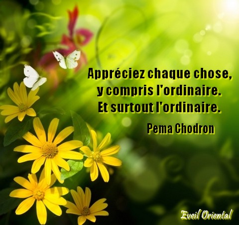 Appréciez l'ordinaire